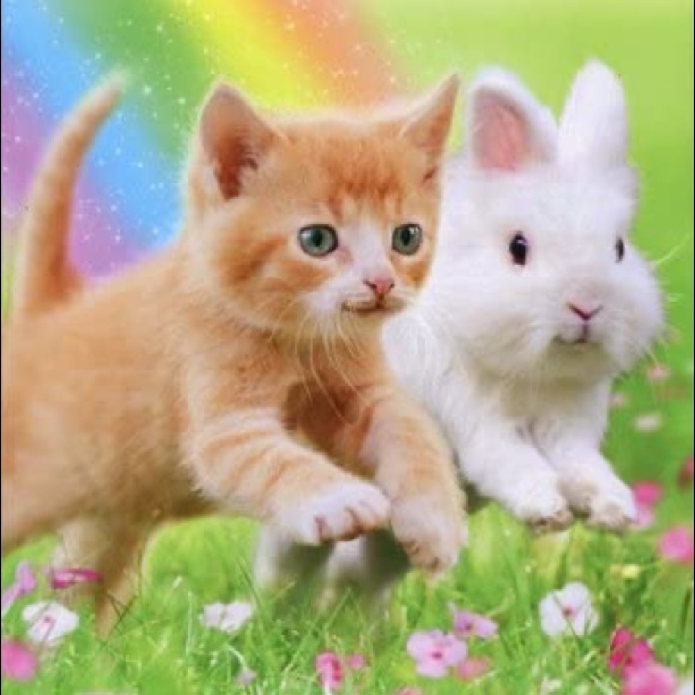 Meet your Posher, Caroline